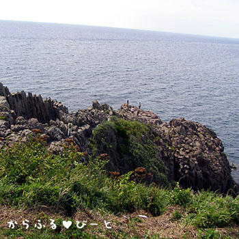 東尋坊