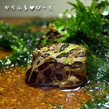 満腹満腹~♪