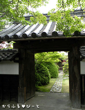 大智院