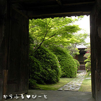 大智院