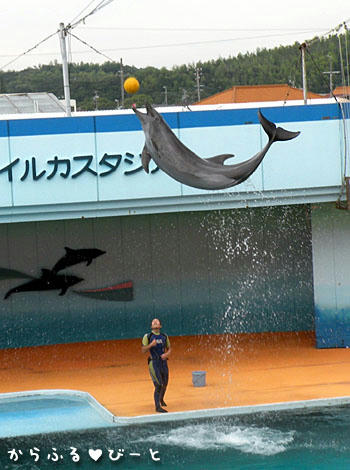 ゛(ノ・o・)ノジャーンプッ!