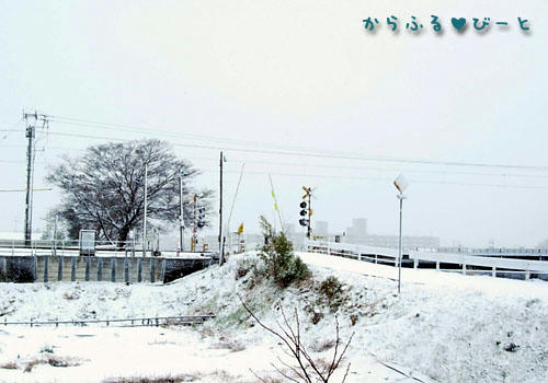 窓からの雪景色