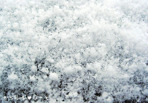 雪！！
