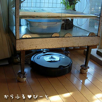 ルンバちゃんのお部屋