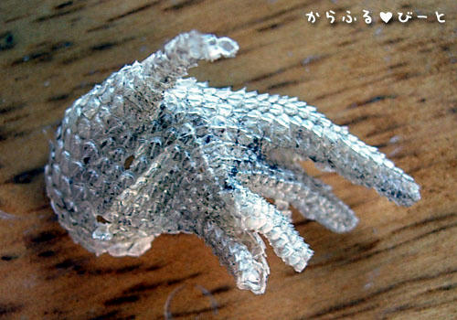 ジャッキーの手袋