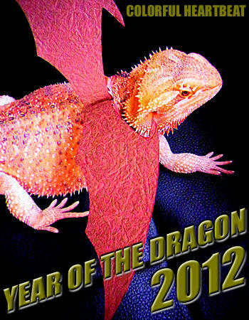 YEAR OF THE DRAGON 2012