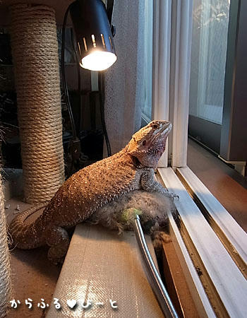 お気に入りの場所
