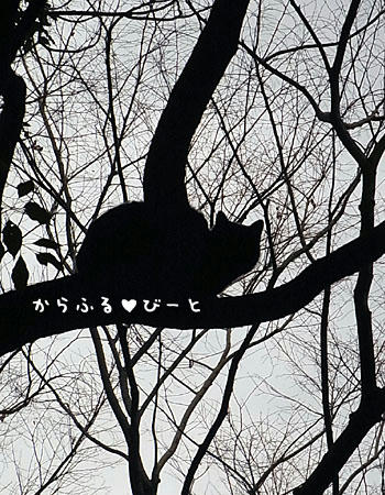 黒ネコちゃん