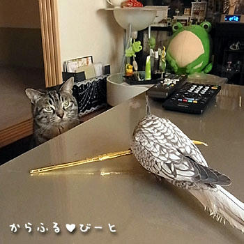 二人は仲良し