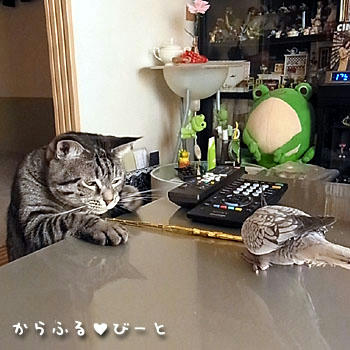 二人は仲良し