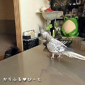 二人は仲良し