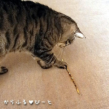 二人は仲良し