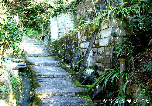 苔むした坂道
