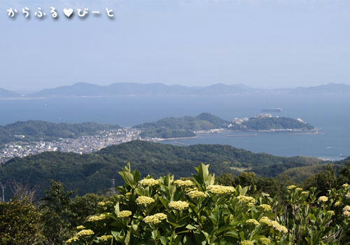 三ヶ根山頂上