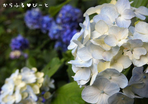 21世紀の森公園