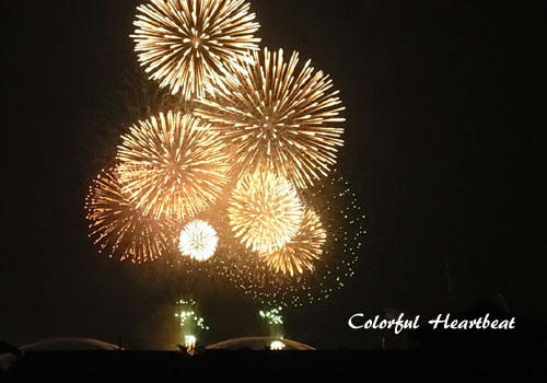 豊田 おいでん祭り 「花火大会」