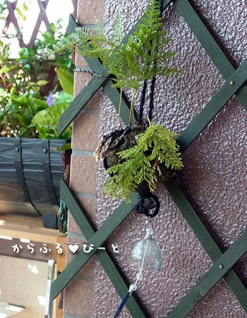苔玉の風鈴