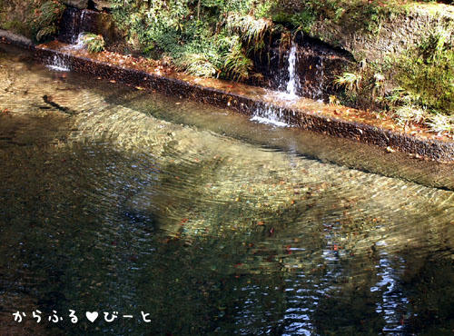 澄み切った水
