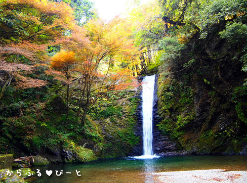 白滝