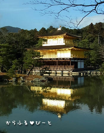 金閣寺