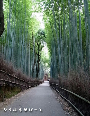 竹林の小径