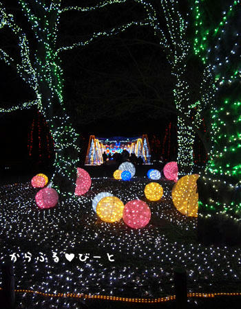 ニューイヤーイルミネーション2013