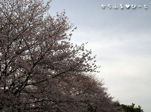 落合公園