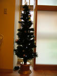 DSCF1068.JPG