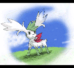 sheimisky3.gif