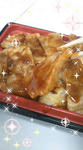 PA0_0015.JPG