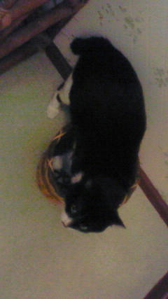 200804281919000.jpg