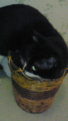 200804281919001.jpg