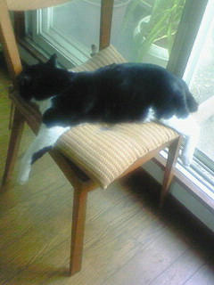 200807051616000.jpg