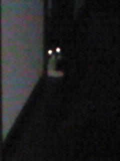200805212053000.jpg