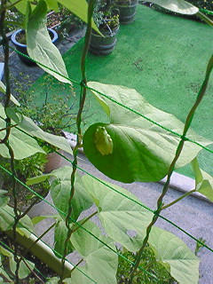 200808031658000.jpg