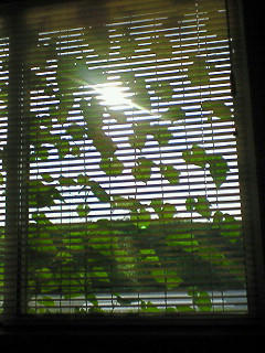 200808031700000.jpg