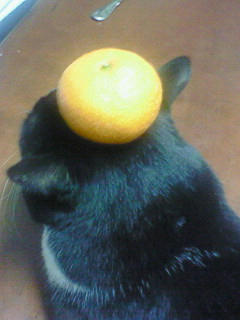 200902192105000.jpg
