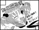 nekodaruma.jpg