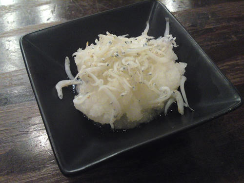SN3J0001.jpg