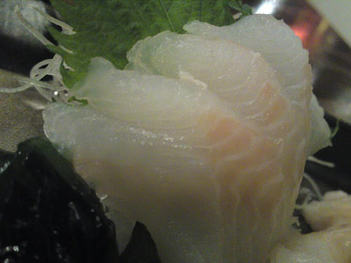 SN3J0004.jpg