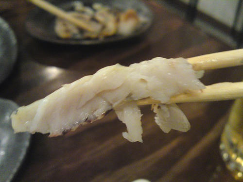 SN3J0009.jpg