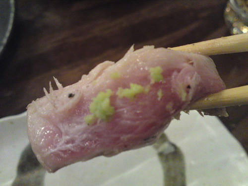 SN3J0011.jpg