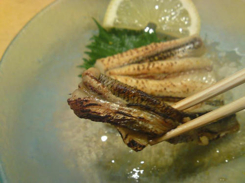 d7a04a2f.jpg