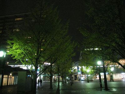tamayakei.jpg