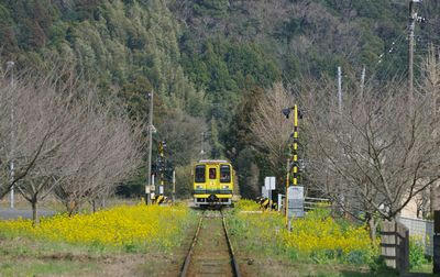 1003isummi1.jpg