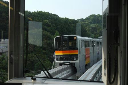 tamamonorale.JPG