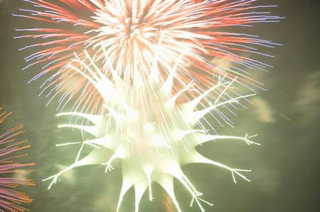 1008hanabi.JPG