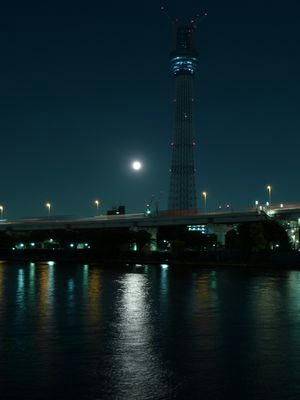 moontree03.jpg