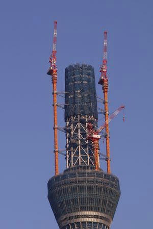 tenbodai1.jpg