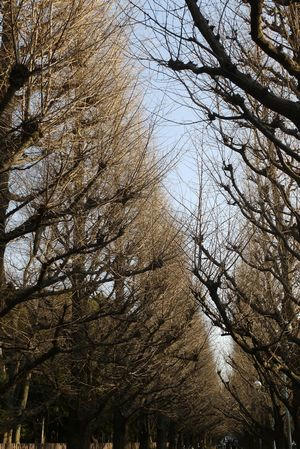 0122gaien.JPG